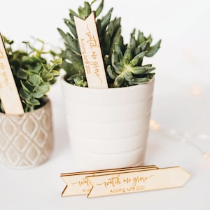Pieu de plantes succulentes Watch Me Grow, étiquette de plante de faveur pour baby shower, pieu de plantes succulentes, baby shower, faveur, étiquette de drapeau, saupoudrer pour bébé, étiquettes cadeaux en bois