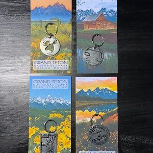 Grand Teton National Park NPS Munt Token Sleutelhanger Ritssluiting 1 st Wyoming Grizzly Bear Bizon Eland Jackson Hole Cowboybar Skiën Wandelen