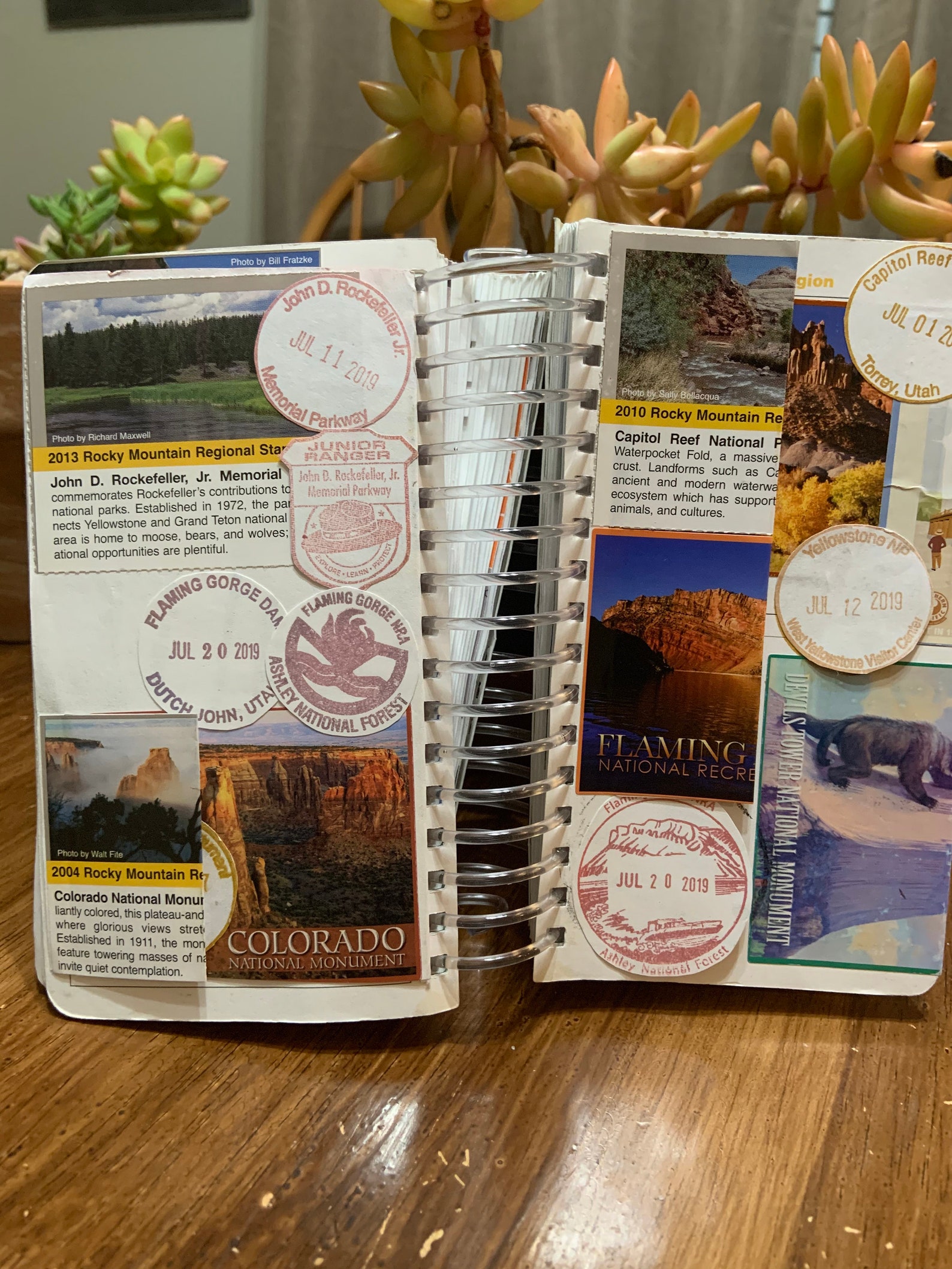 National Parks PASSPORT Book Expander Binding 1 1/4 inch Etsy