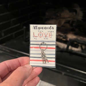 May include: A keychain with a silver charm of two people holding hands. The charm is attached to a silver key ring. The keychain is packaged on a card with the text "All you need is LOVE" and a mathematical equation for the word "LOVE".