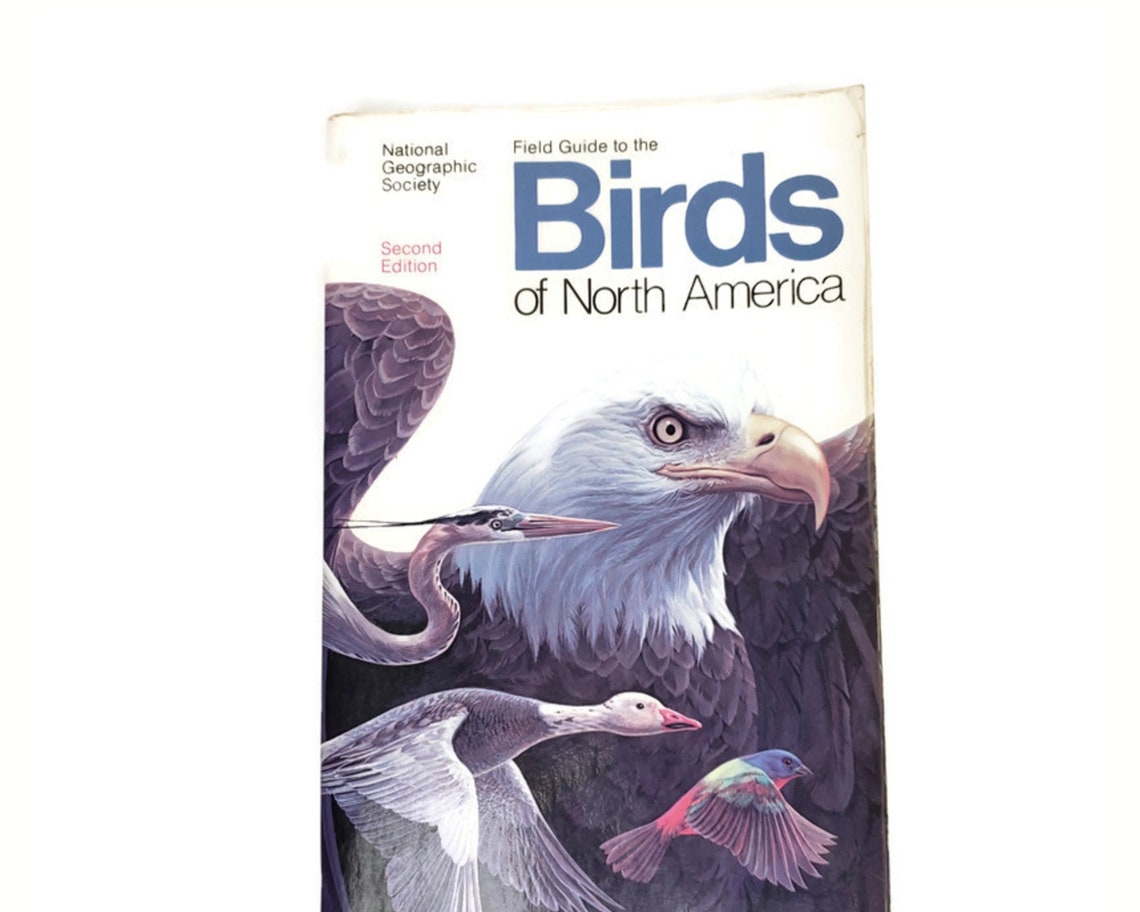 Guía de campo para las aves de América del Norte 1991 National Etsy