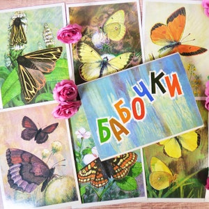 Set of butterfly cards Butterfly print Vintage entomology cards Butterfly drawings Postcards & color illustrations Moths and butterflies 6