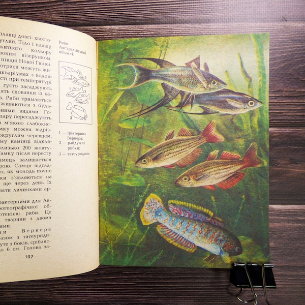 Fish book Aquarium fish book Aquarium fish illustration Aquarium fish prints Aquarium fish pictures Vintage aquarium book Pet fish prints