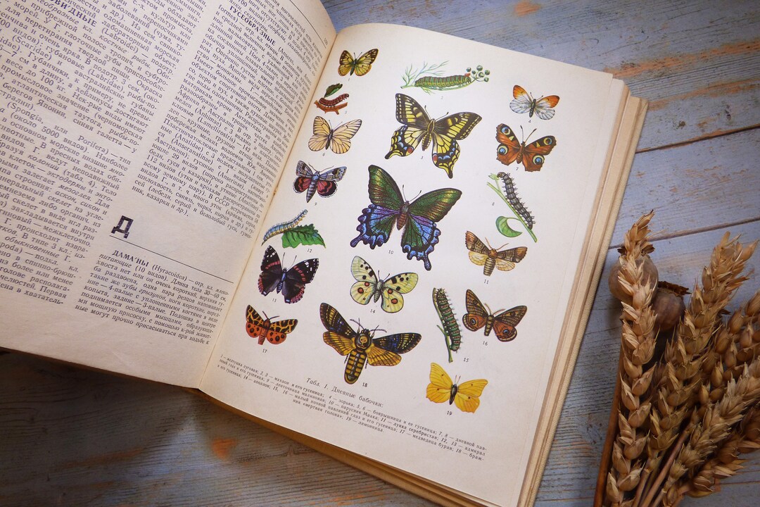 Vintage Animal Book Zoological Pictures Animals Pictures Bird Etsy