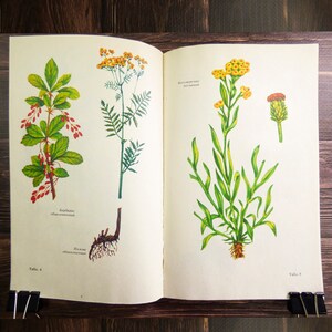 Botanical book Medicinal plants book Botanical pictures Floral print Botanical illustration Flower book Botany print Book flowers Herb book