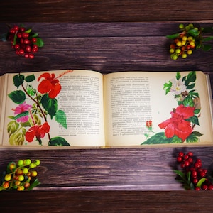Botanical book Flower book Botanical illustration Plant book Flower illustration Botanical pictures Indoor & aquarium plants Flower ephemera