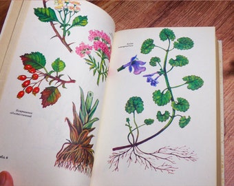 Flower book Medicinal plants book Botanical book Herb book 32 floral illustrations Herbs pictures Botany Illustrations Botanical prints