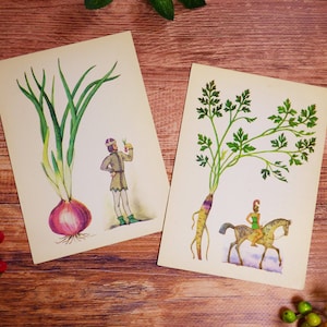 Botanische Karten Würzige Pflanzen Postkarten Outdoor Pflanzen Zeichnungen Spicy Abbildungen Vintage Postkarten Botanische Bilder Set 16 Karten UdSSR