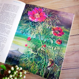 Plants illustrations Rare flowers guide Vintage flower book Botanical book Rare flowers drawings Herb book Flower illustrations Botany book