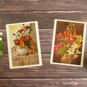 Disegni di un mazzo di fiori Immagini floreali di metà secolo Cartoline di fiori vintage Vecchie cartoline botaniche Set di illustrazioni floreali
