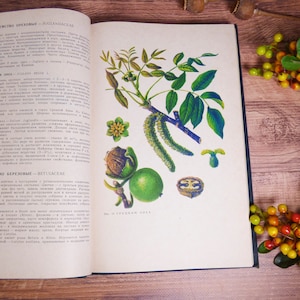 153 botanical pictures Vintage botanical book Wild growing plants book Medicinal plants book Herb book Botanical prints Flower book Aconite