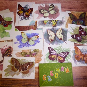 Jeu de cartes papillon vintage Impressions de papillons Cartes d'entomologie vintage 16 Dessins de papillons Cartes postales de papillons Papillons et papillons 1