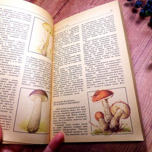 Plants of forest Botanical pictures Mushroom illustrations Botanical prints Vintage book Mushrooms pictures Berry drawings Botany drawings