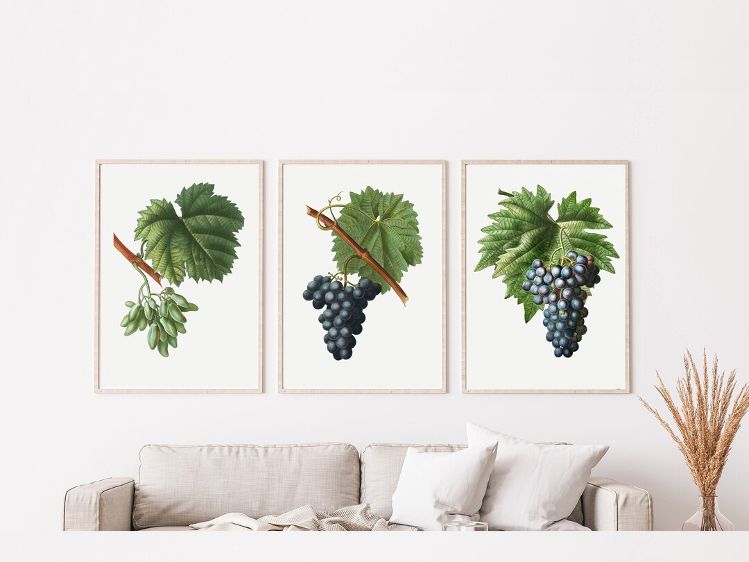 Grape Posters Grapes Wall Decor Digital Download Black Grapes Etsy