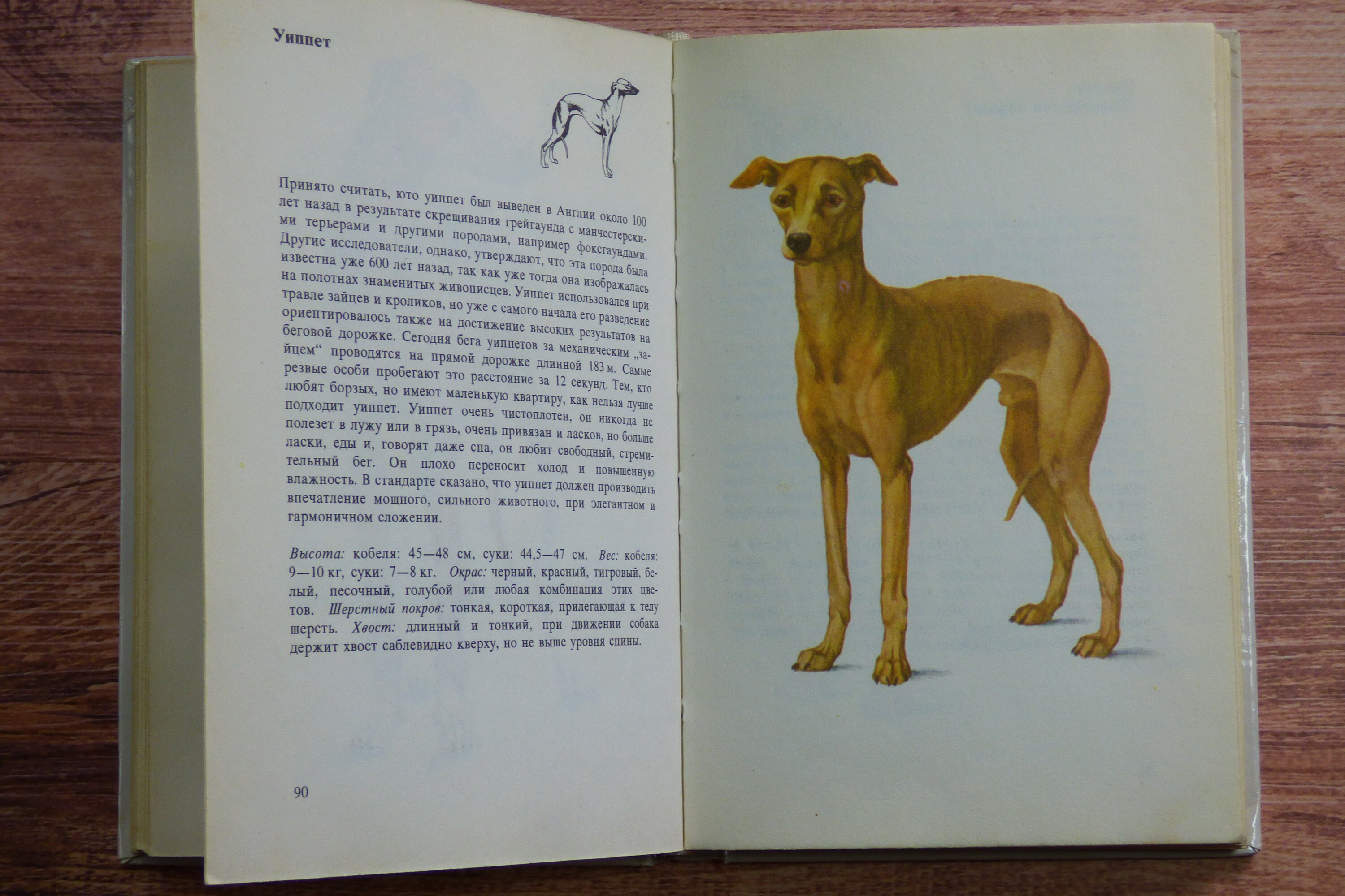 Dogs book Vintage dog breeds book Retro color pictures of dogs Etsy