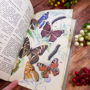 May include: Open book with colorful illustrations of butterflies and caterpillars. The page features detailed drawings of various butterfly species, with vibrant wings and intricate patterns. The book is open on a wooden surface.