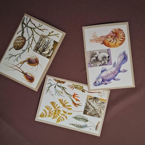 16 animal postcards Reptiles pictures Vintage nature cards Botanical cards Birds drawings Fauna cards Insects pictures Animal illustrations