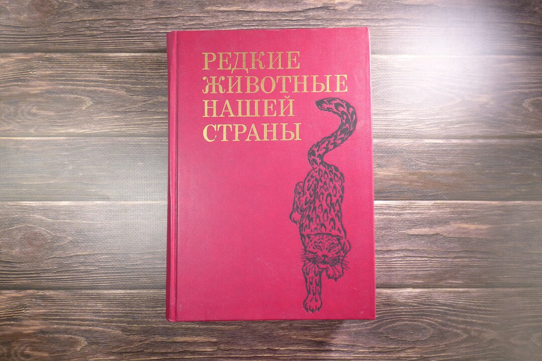 Vintage Animal Book Birds Pictures Reptiles Prints Amphibians Etsy