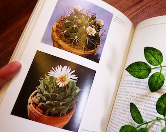 Vintage cacti book Reference cacti book Сactus botanical book Cacti photo illustrations Encyclopedia of cacti Cacti pictures Houseplant book