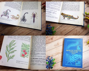 Poisonous plants & animals Vintage animal book Snake pictures Fish prints Botanical prints Scorpions drawing Insects pictures Botanical book