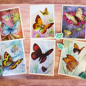 Impression papillon Jeu de cartes papillon Cartes d'entomologie vintage Dessins de papillon Cartes postales avec illustrations en couleur Papillons de nuit et papillons
