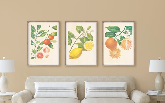 3 Citrus Art Digital Download Lemon Wall Art Orange Print - Etsy