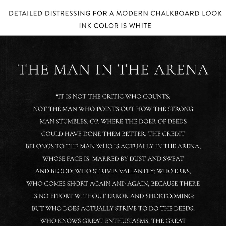The Man In The Arena Sign IV