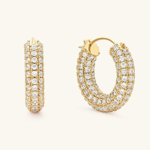 Diamond hoop earrings fake store