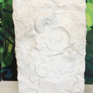 May include: White ceramic vase with a textured surface resembling rock. The vase features four raised, detailed ammonite fossils.
