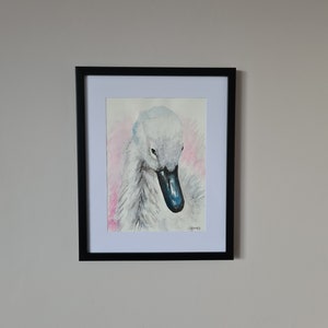 Cygnet Watercolour, Baby Swan, ORIGINAL ART, Framed and Signed Artwork, Swan Gifts, Swan Art, UNIQUE Gifts, Scottish Art.