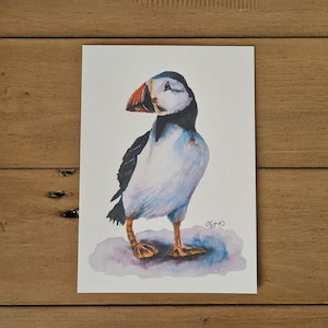Impression de macareux, A5, impression d'art signée, option encadrée ou non, carte de haute qualité, impression unique, aquarelle de macareux, peinture d'oiseau.