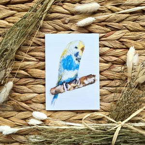 Biglietto d'auguri in lino, biglietto Bill il parrocchetto, biglietto di compleanno per parrocchetto, acquerello, biglietto per uccelli, regali per parrocchetti, stampe artistiche, biglietti unici, formato A6.