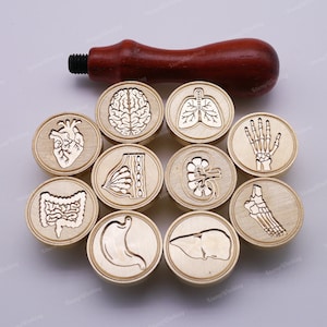 Anatomical Human Body Organ Wax Seal Stamp - Popular Health Care - Sealing Wax Stamp - Medical Student Gift