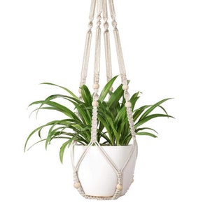 Puede incluir: Un macetero colgante de macramé con una maceta de cerámica blanca llena de plantas de hojas verdes. El macramé es beige con cuentas de madera, y la maceta está suspendida de un lazo en la parte superior. La planta tiene hojas largas y delgadas.
