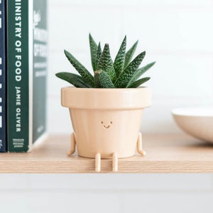 Sitting Indoor Plant Pot, Unique Cute Flower Pot with Face, 3.5 Inch Succulent/Cactus Gift Decorative Plant Pot, Novelty Not Included