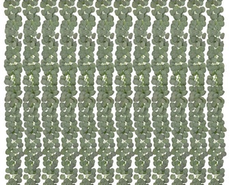 Artificial Eucalyptus Garland: 12pcs Faux Silver Dollar Vines, Wedding Arch Decor