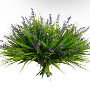 Può includere: Un mazzo di piante di lavanda artificiali con steli verdi e fiori viola.