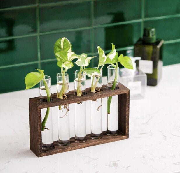 Wall Hanging 15 Test Tubes Flower Vases With Stand,for Home Decor 輝く高品質な