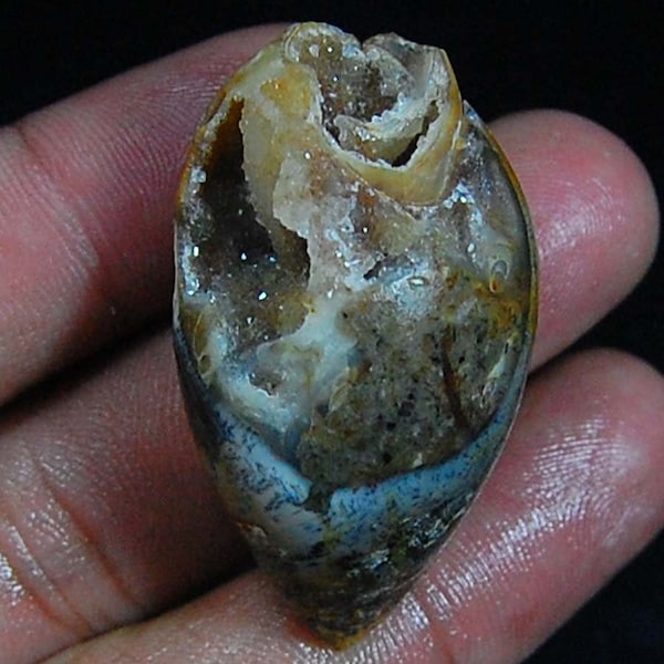 Natural Fossil Snail Druzy Agate Loose Gemstone Fossillized Shell Druzy For Pendant and jewelry making, Ancient Spiralite Fossil Shell