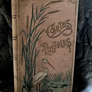 Antique French Postcard Album, Un album de cartes postales, Cartes Postales, Carte Postale, French Postcards, French Postcard Book, Postcard