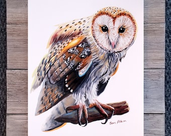 Barn Owl - Artist Proof, 8x10” Acrylic Painting, Owl Portrait, White Background, Gray Frame, Beautiful Feathers, Wall Art Decor by Ben Atkin