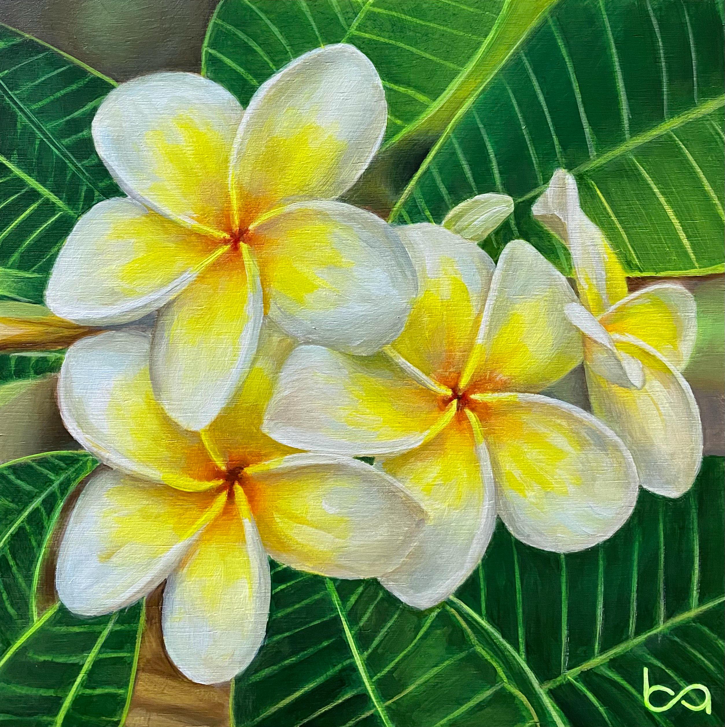 Hand-painted Plumeria Floral Art: 6x6