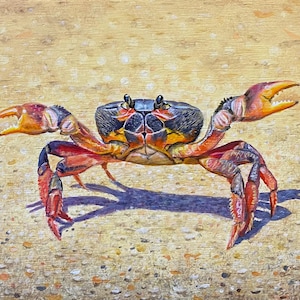 Peinture originale de crabe 5 x 7&quot; acrylique peinte à la main crabe sur la plage de sable oeuvre décoration murale griffes à la main véritable artiste traditionnel Ben Atkin Art