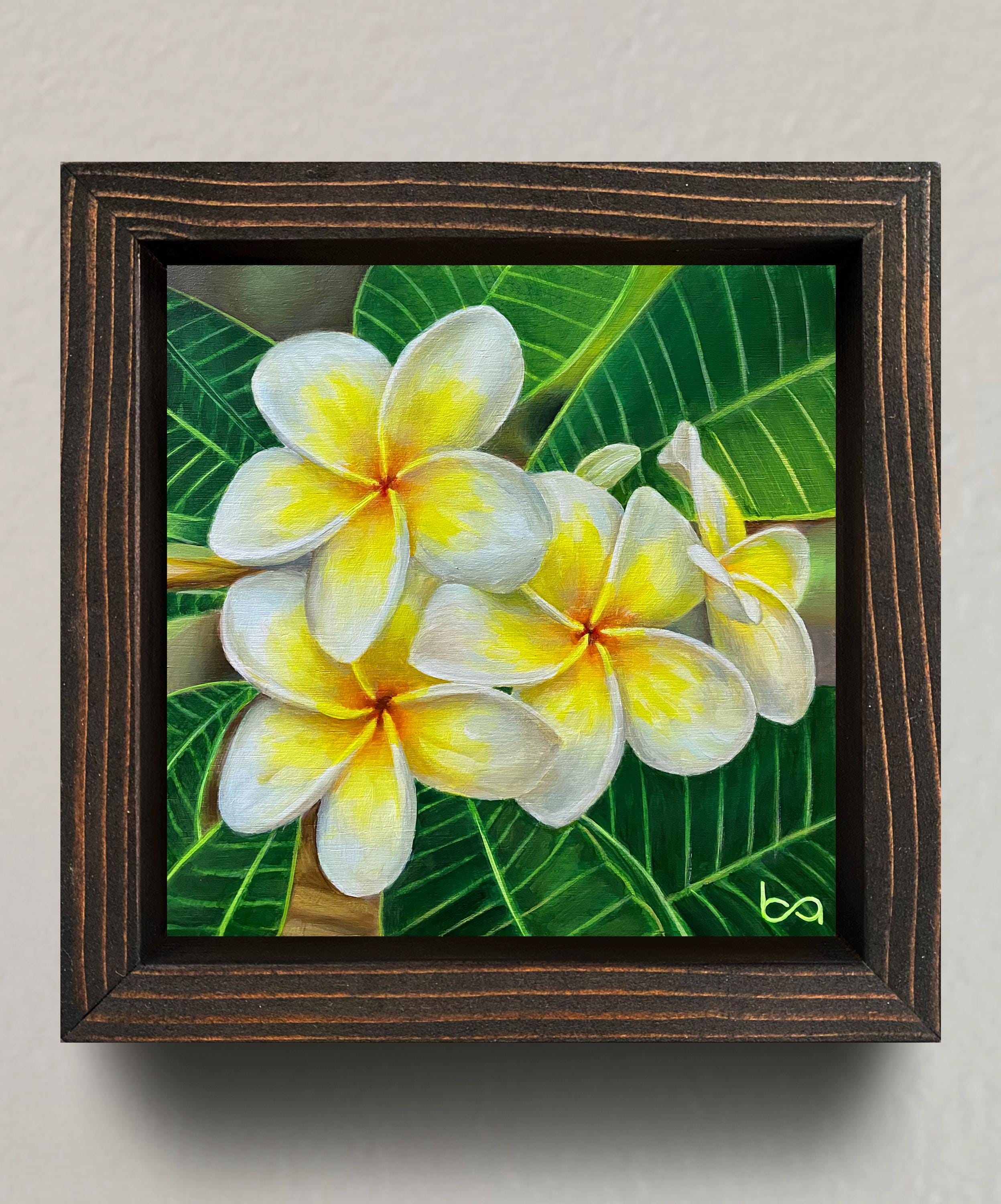 Hand-painted Plumeria Floral Art: 6x6
