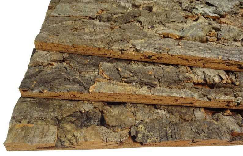 EUR 32.32/sqm Cork Back Wall for Your Terrarium 60 x 30 cm Etsy