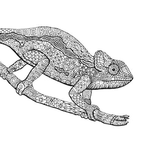 Könnte beinhalten: Eine Schwarzweiß-Zeichnung eines Chamäleons mit komplizierten Mustern auf seinem Körper und Schwanz. Das Chamäleon sitzt auf einem Ast.