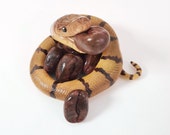 Snake figurine, snake, polymer clay figurine, handmade, coffee, reptile figurine, gift, brown, coffee beans, polymer clay, beige, polymer clay