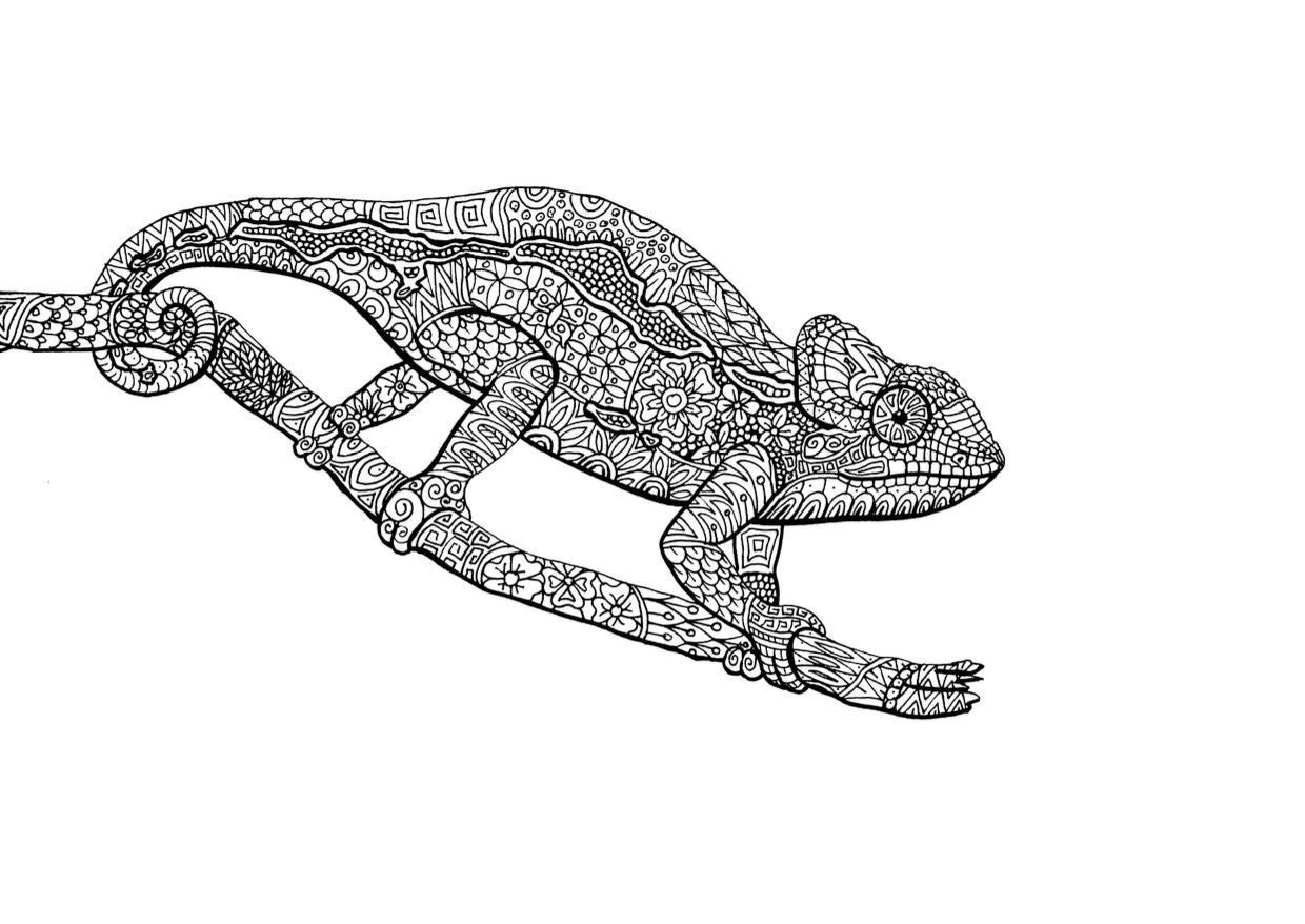 Download PDF, Mandala Reptilien, Malvorlage, Schildkröte, Chamäleon