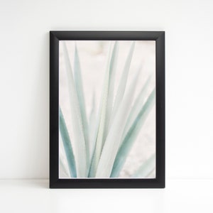 Aloe Plant Prints, Aloe Print, Succulent Print, Aloe Vera Poster, Desert Decor, Tropical Print, Desert Wall Art, Botanical Print