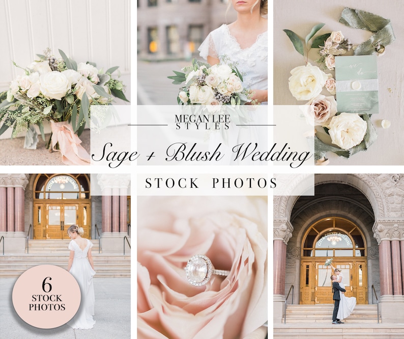 sage and blush wedding party